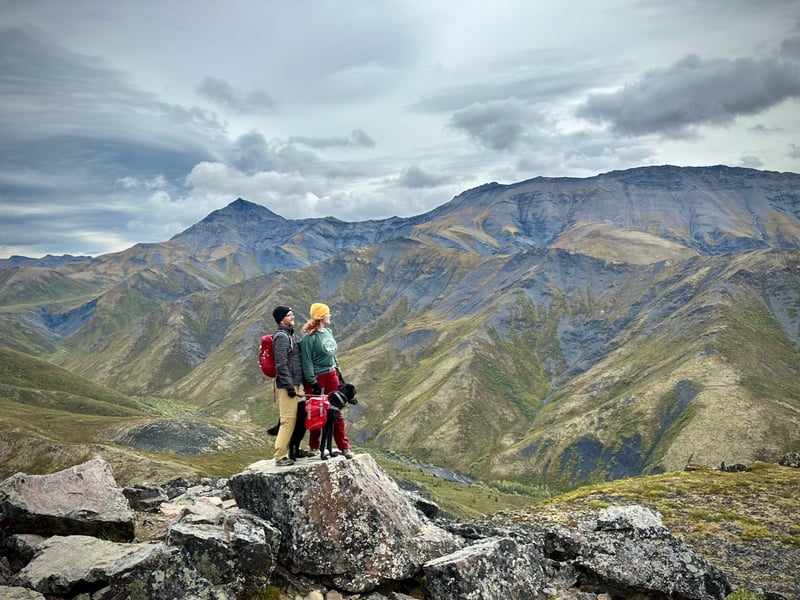 Tombstone peaks rising above the Dempster Highway